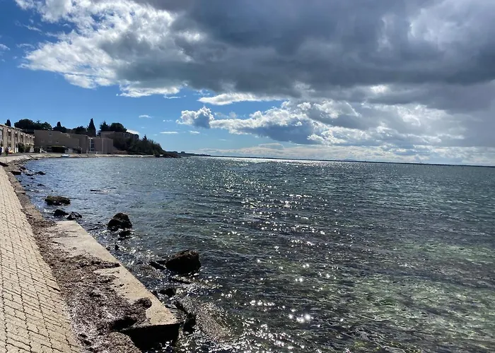 Les Reflets De L'etang Balaruc-les-Bains
